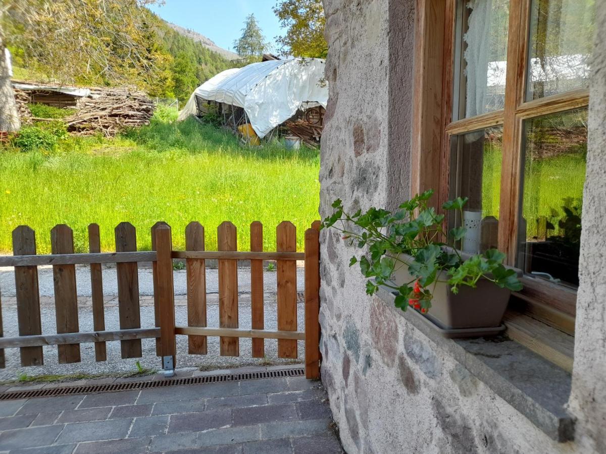 B&B Chalet Dolomiti Sant'Orsola Екстер'єр фото