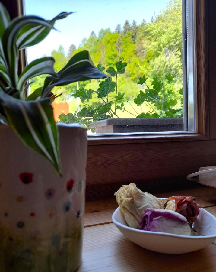 B&B Chalet Dolomiti Sant'Orsola Екстер'єр фото