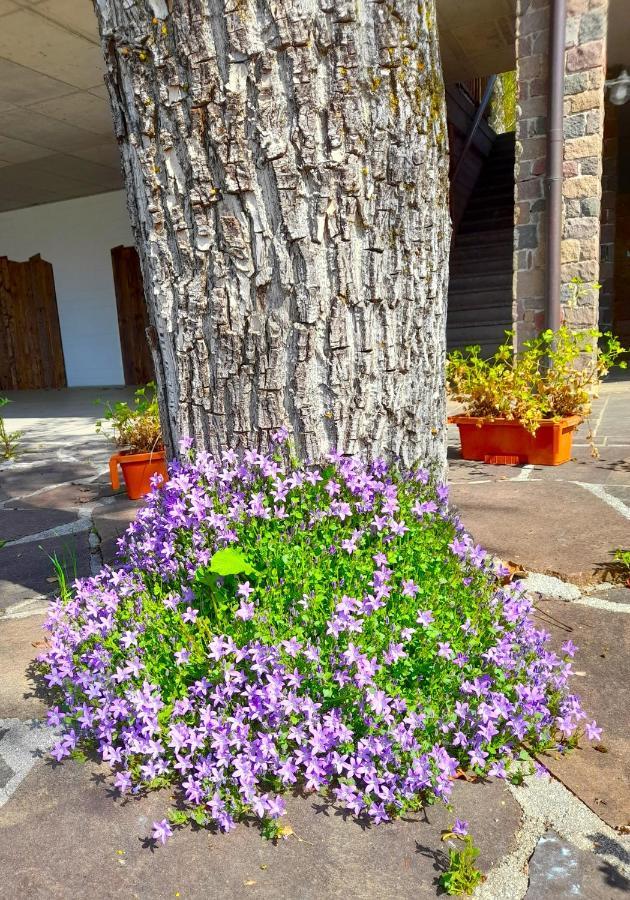 B&B Chalet Dolomiti Sant'Orsola Екстер'єр фото
